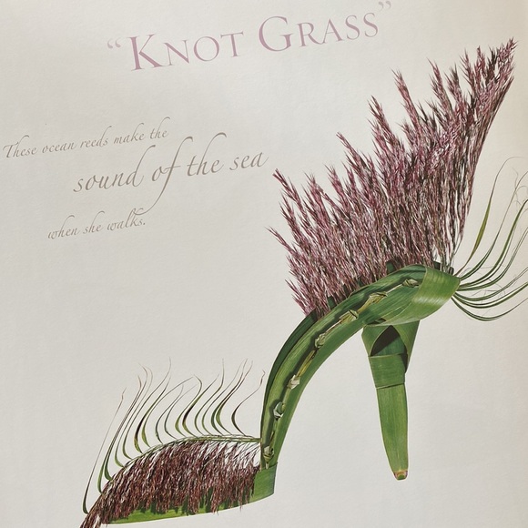 Shoe Fleur a Footwear Fantasy Book by Michel Tcherebkoff - Picture 13 of 16